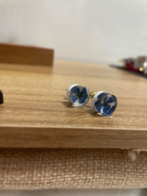 Puces Myosotis