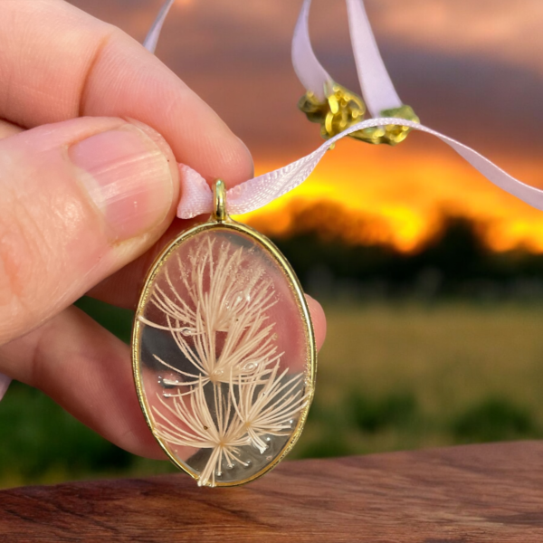 Collier Pemberley